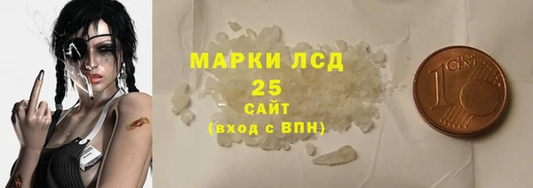 PSILOCYBIN Заводоуковск