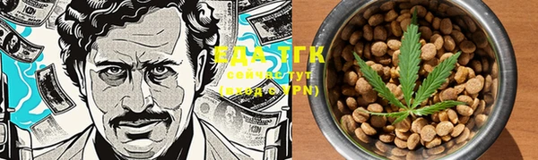 PSILOCYBIN Заводоуковск