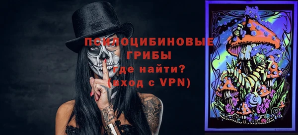 PSILOCYBIN Заводоуковск