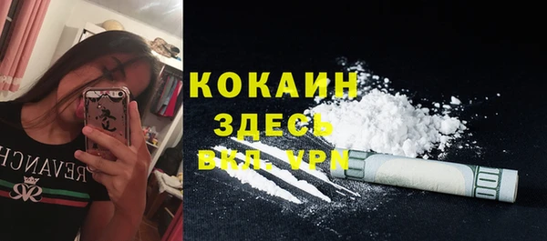 PSILOCYBIN Заводоуковск
