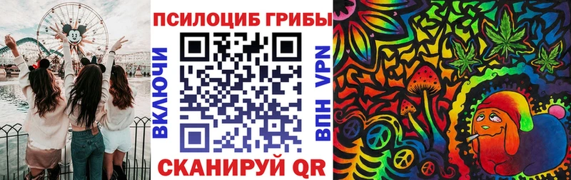 Галлюциногенные грибы MAGIC MUSHROOMS  Купить  Светогорск 